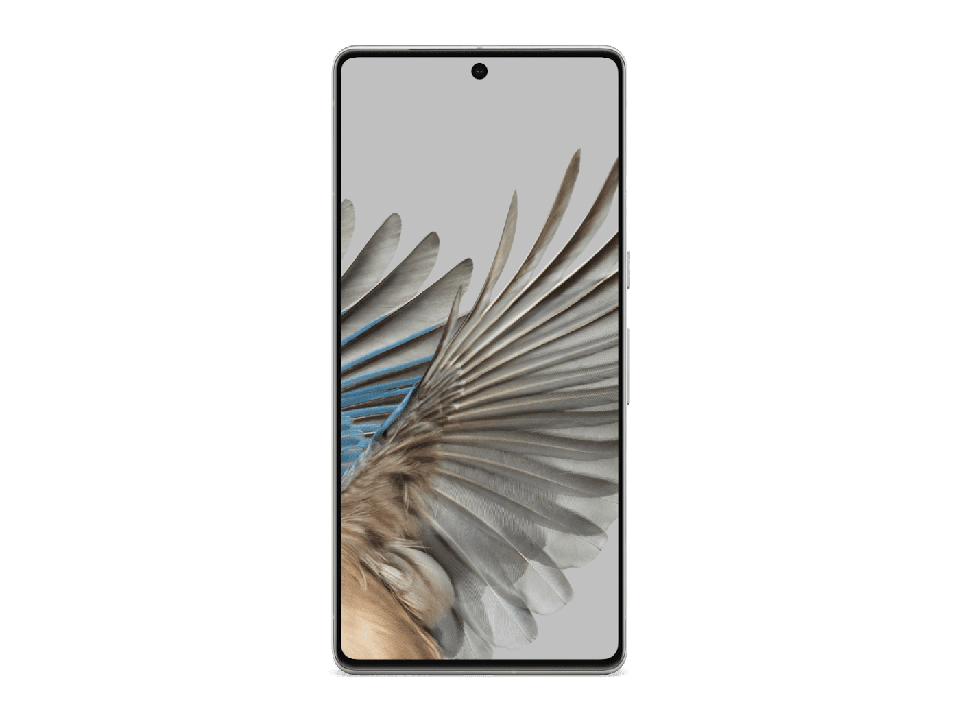 Google Pixel 7 Pro 5G-Storage Capacity: 128GB-Color: Hazel-Activation Fee Option: Customs fees not included-Ennap.com