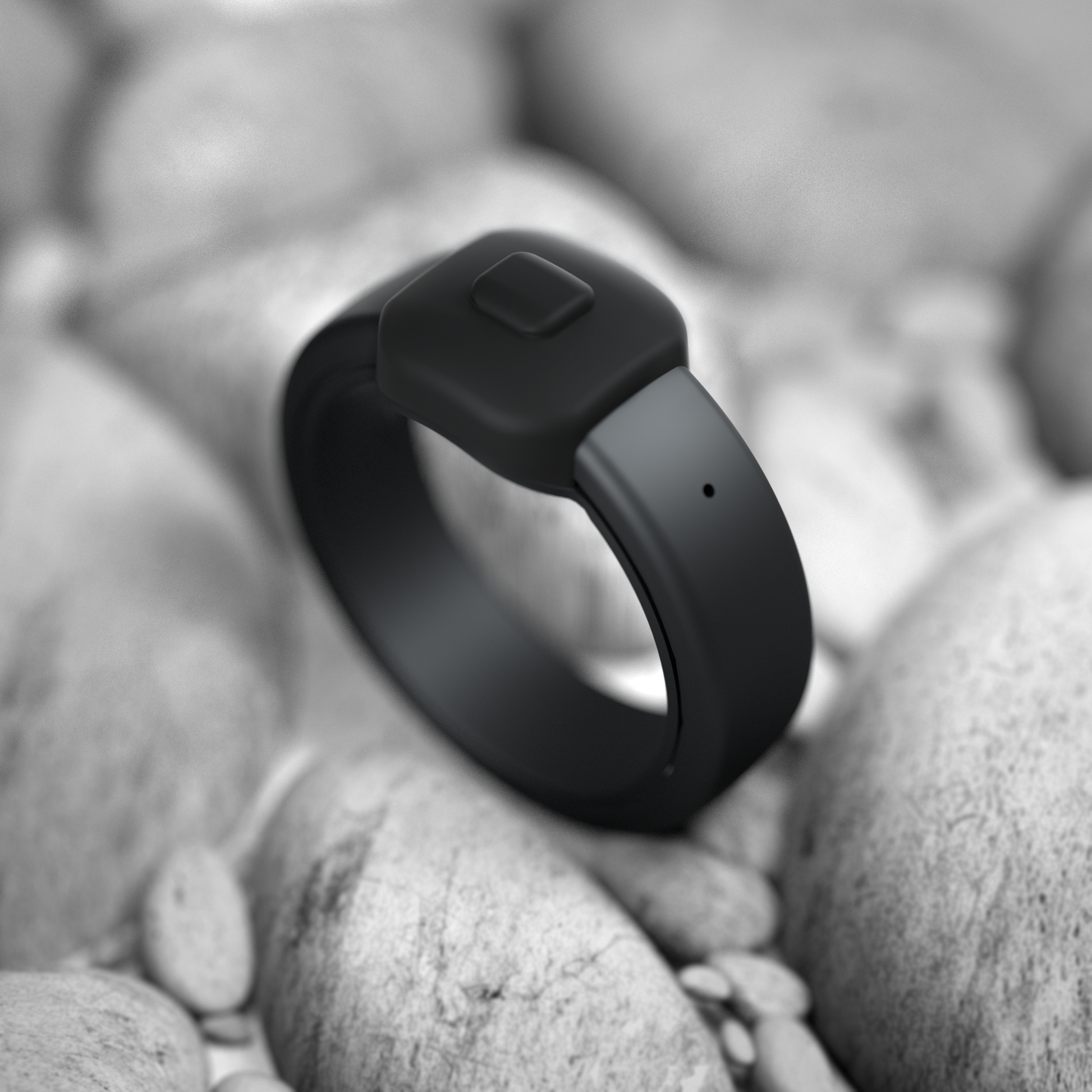 Pebble Index 01 