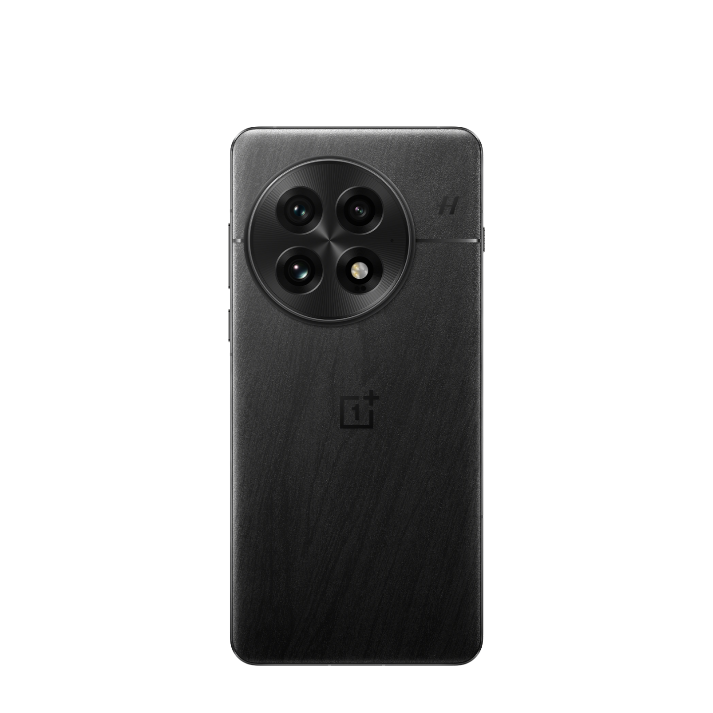 OnePlus 13 Dual SIM 5G