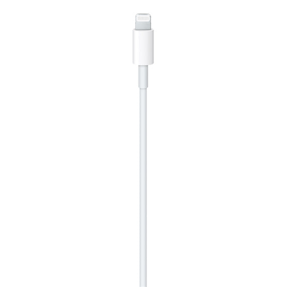 Apple USB-C to Lightning Cable