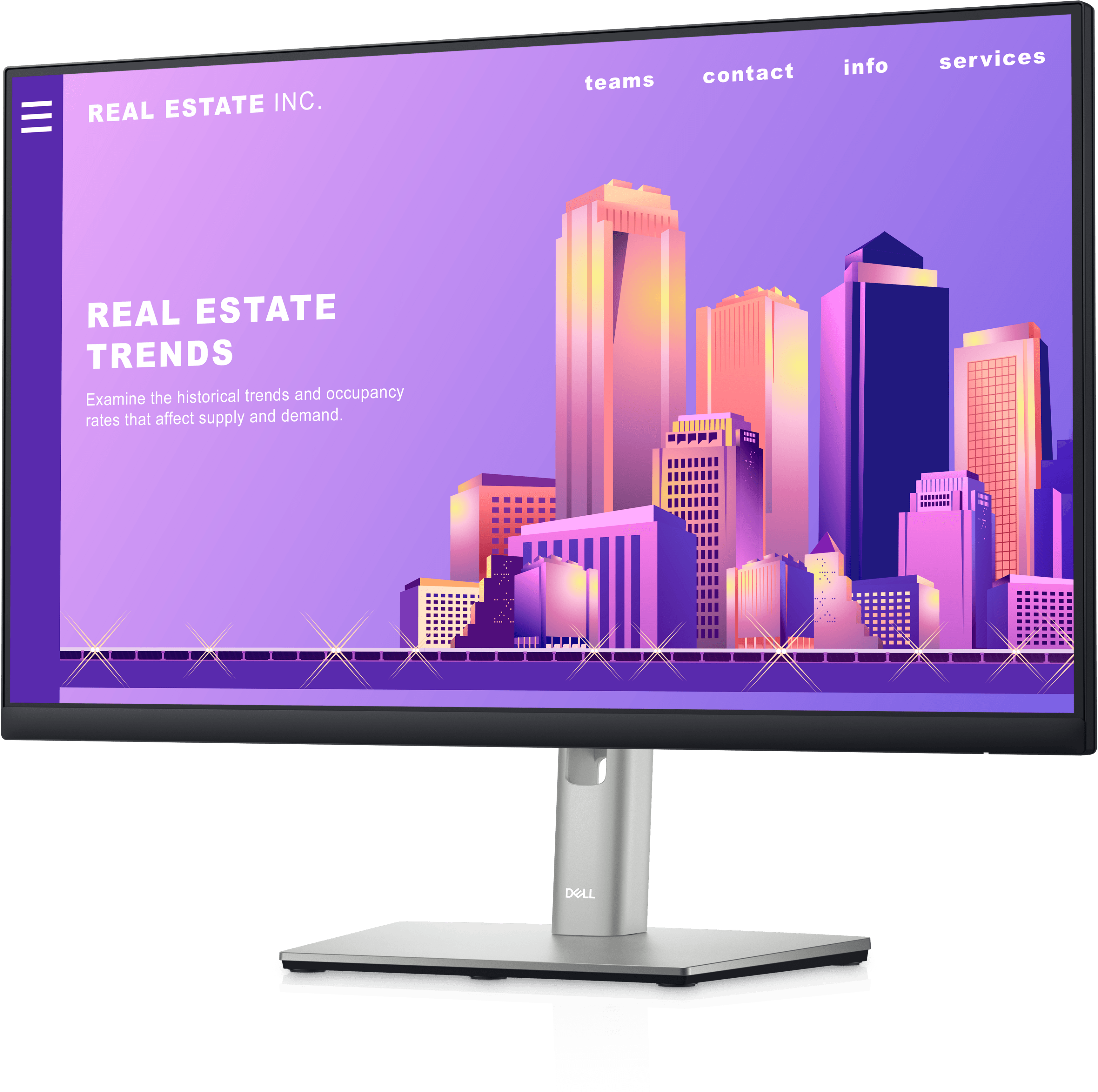 DELL P2422H 23.8-Inch FHD IPS 60Hz Monitor----Ennap.com